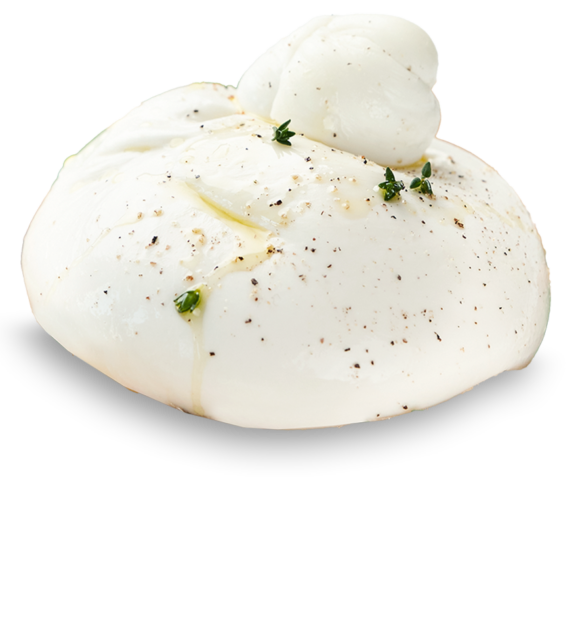 Burrata