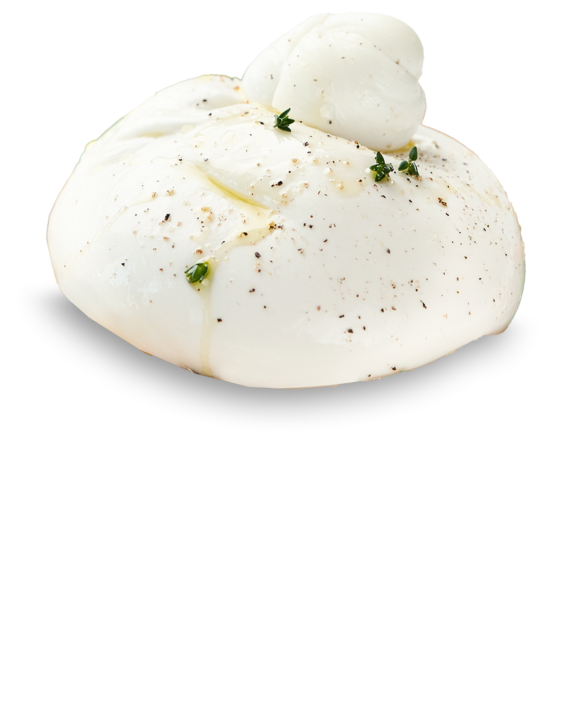 Burrata