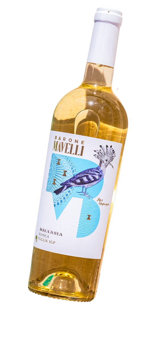 Weißwein Malvasia zum Risotto