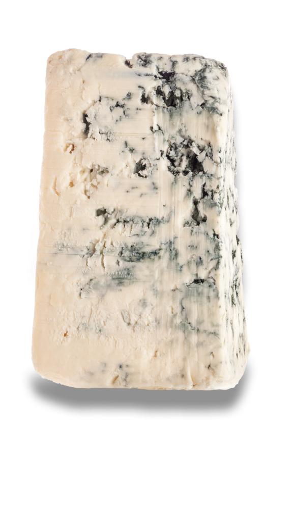 Gorgonzola